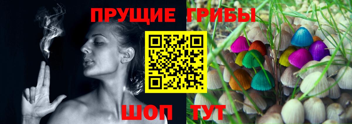 Галлюциногенные грибы Magic Shrooms Майкоп